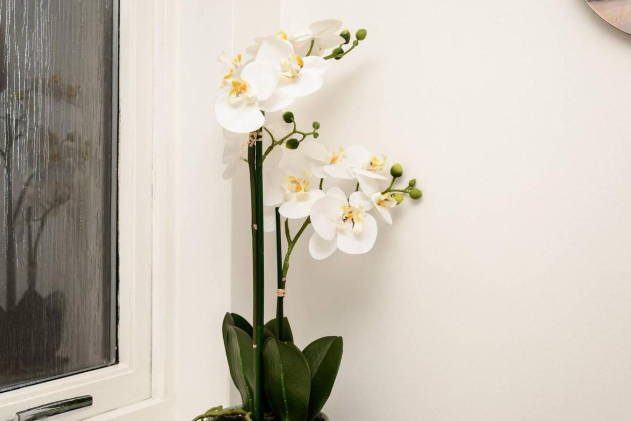 Altido Lovely Apartment For 4 With Free Parking เอดินบะระ ภายนอก รูปภาพ